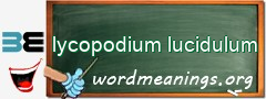 WordMeaning blackboard for lycopodium lucidulum